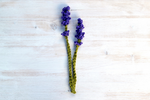 Lavender Flower
