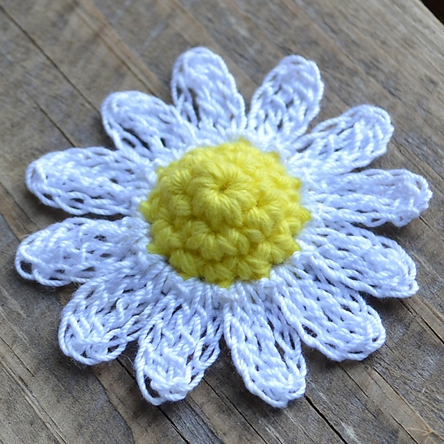 Daisy Flower