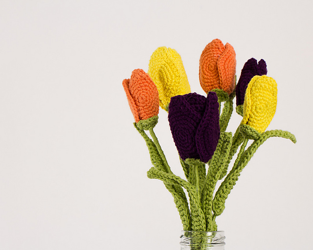 Beautiful Tulips