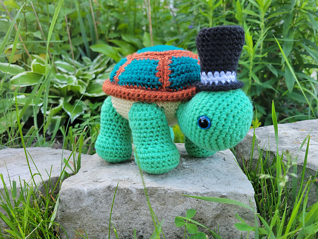 Sheldon the Tortoise