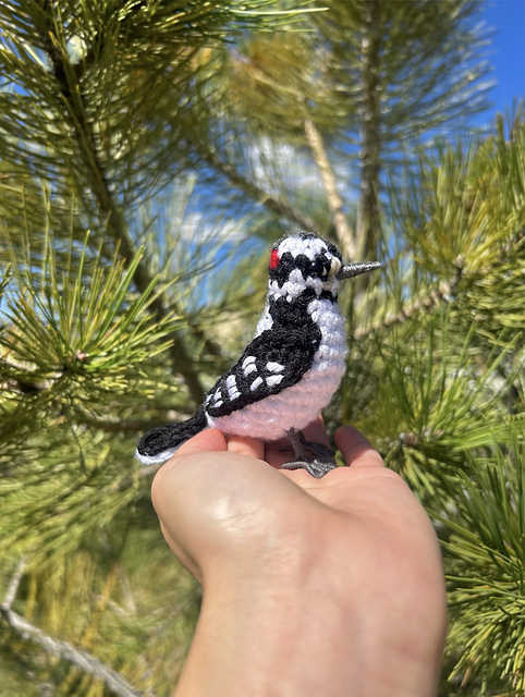 Downy Woodpecker Bird