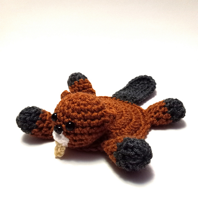 Beaver Coaster