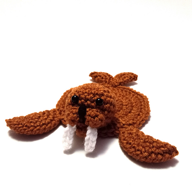 Walrus Coaster