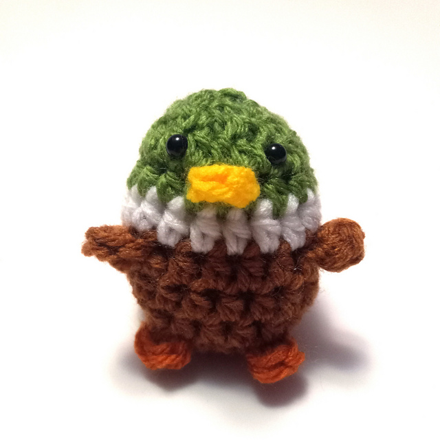 Mallard Duck