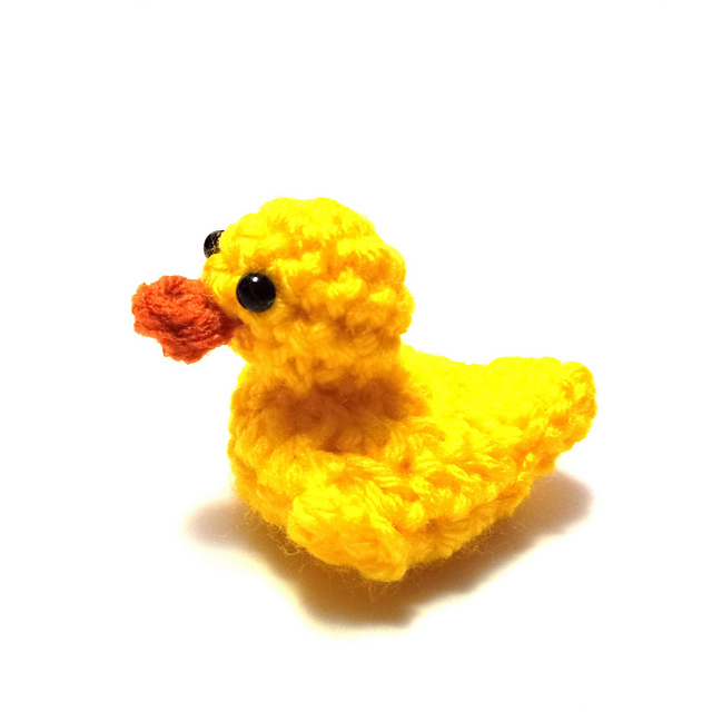 Duck