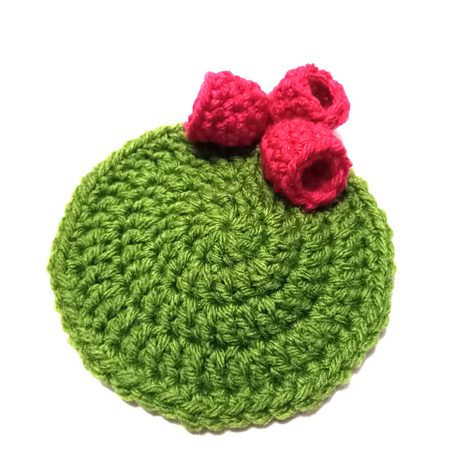 Raspberry Coaster