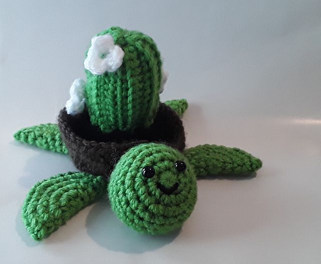 Turtle Cactus