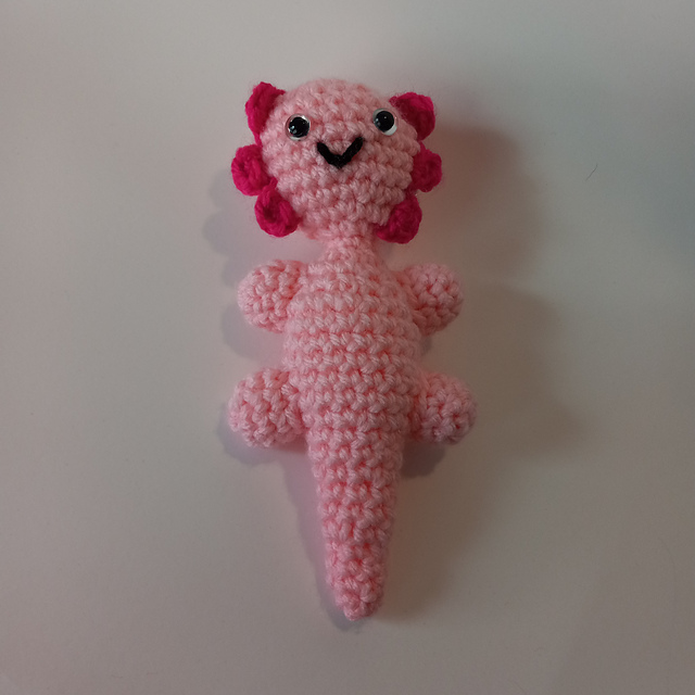 An Axolotl