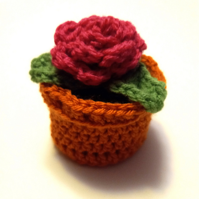 Rose in a Flower Pot