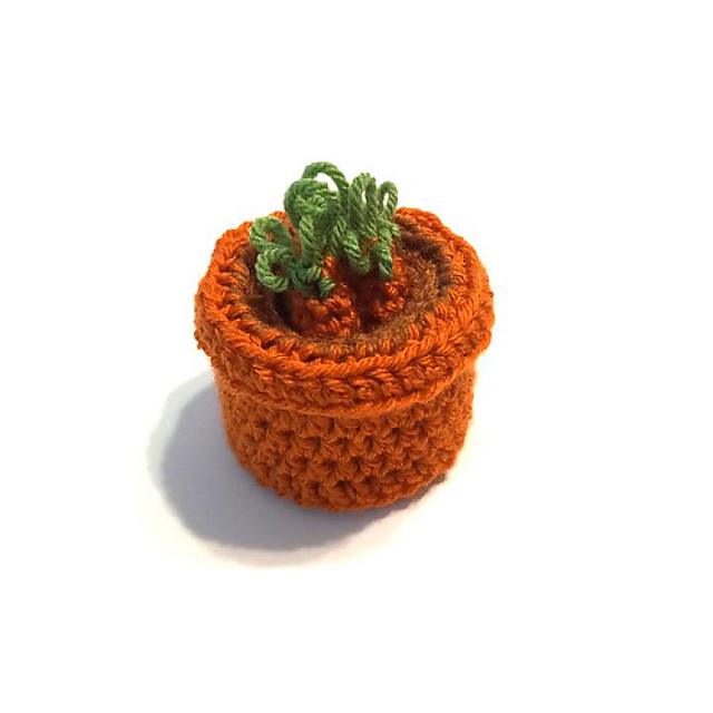 Carrots in a Flowerpot