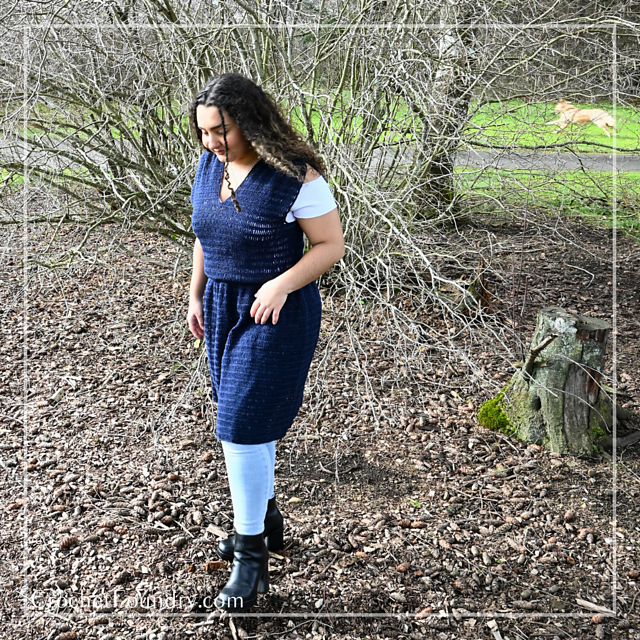 Little Navy Dress