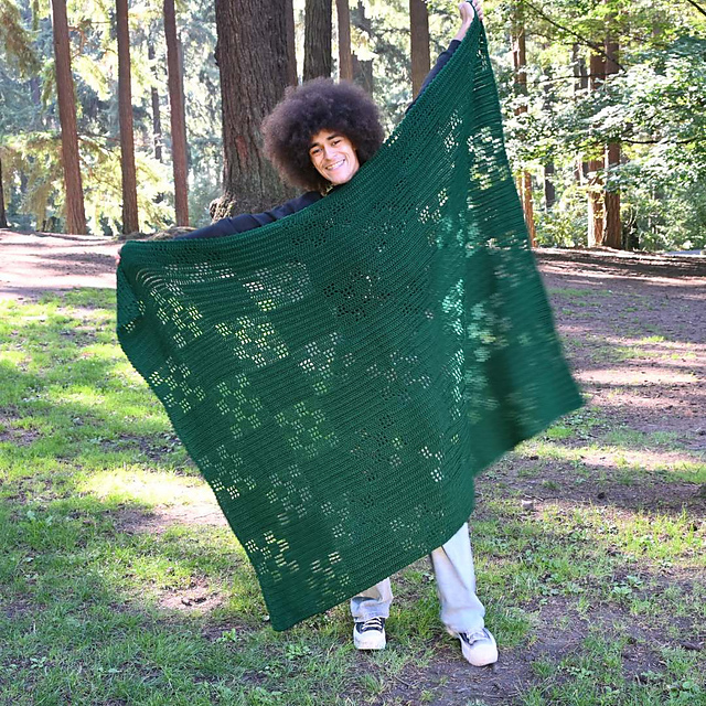 Looking Glass Throw