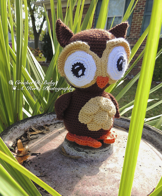 Wise Owl Amigurumi