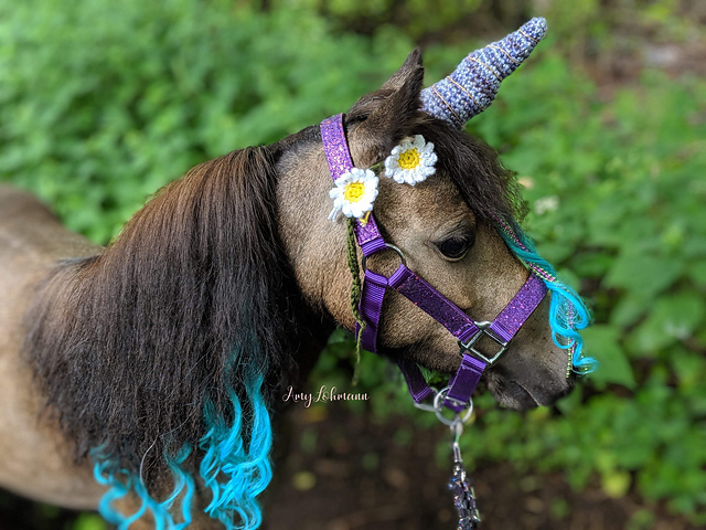Twisted Unicorn Horn