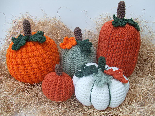 CV131 Picking A Pumpkin