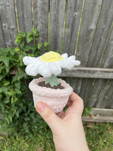 No Sew Potted Daisy