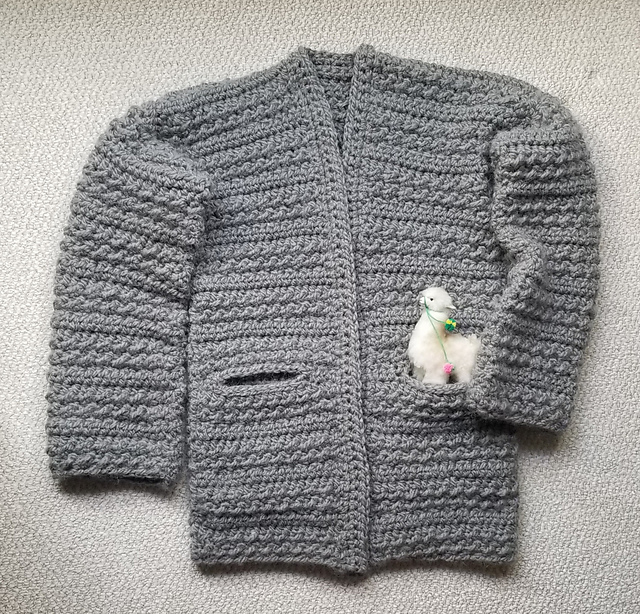 Pocket Full of Cardigan