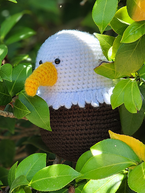 Eagle Egghead