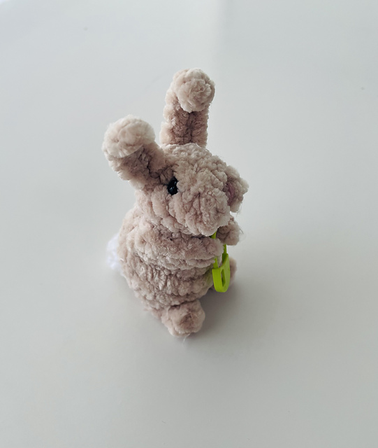 Pocket Bunny
