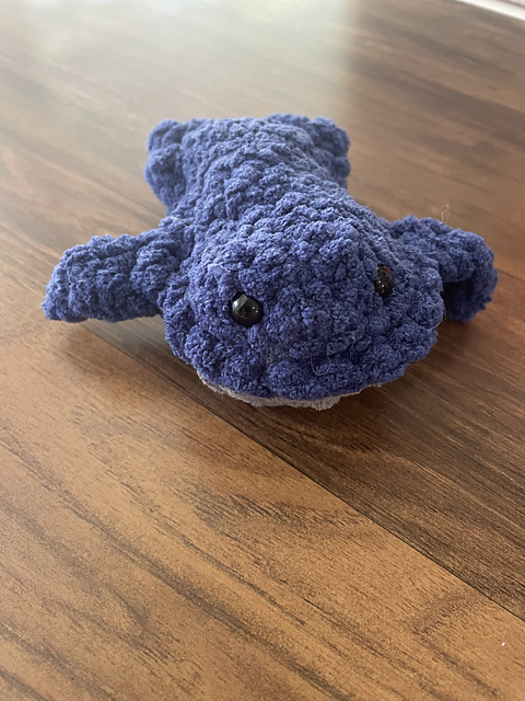Chunky Whale