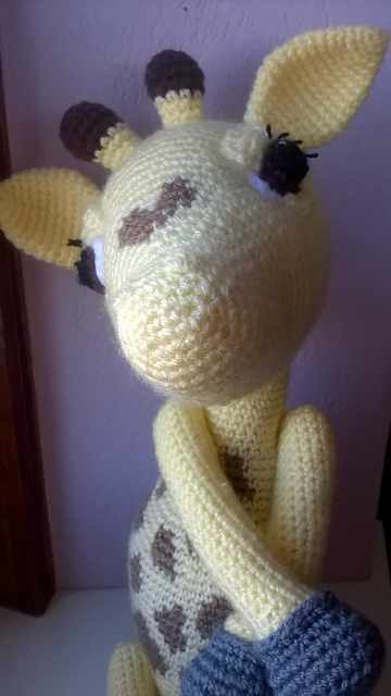 Winnie the Baby Giraffe