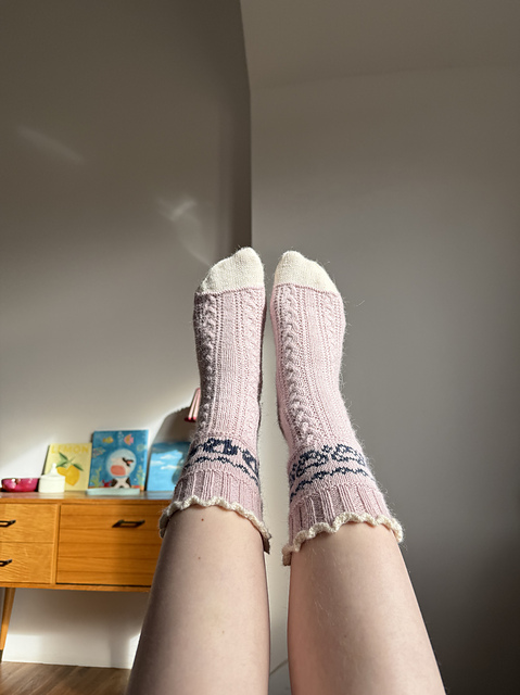 Bedtime story socks