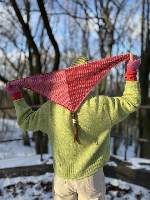 Bogusia scarf