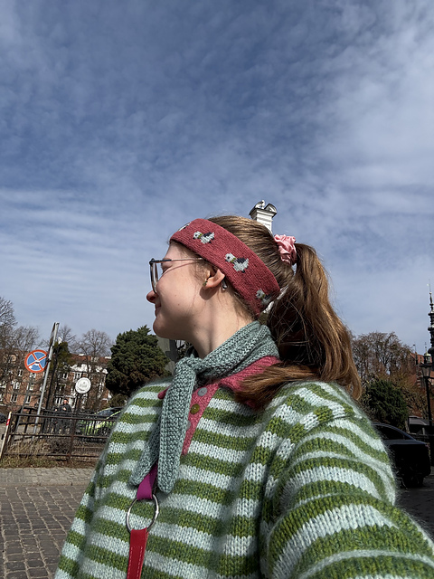 Give me all your birds headband