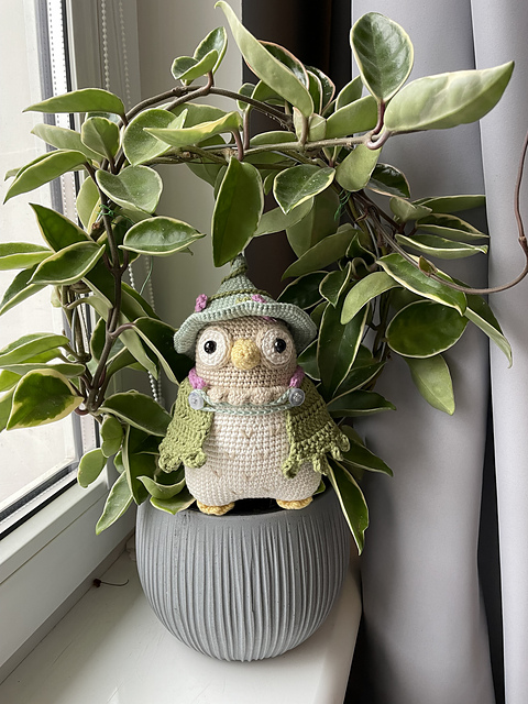 Witch Owl