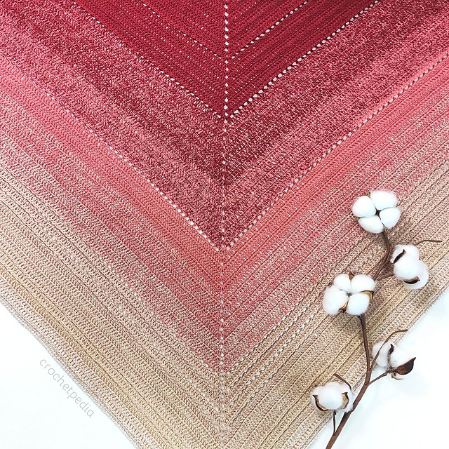 Juliette Shawl