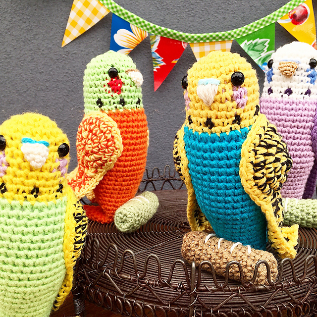 Budgerigar