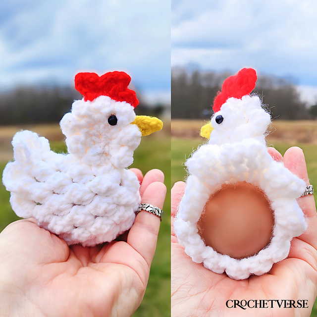Egg Laying Chicken Birds