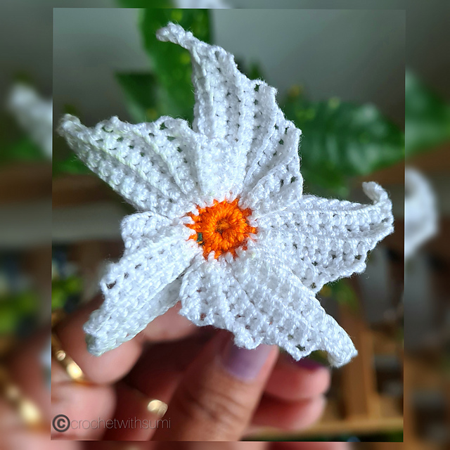 PhotoCollage_20220106_10403263