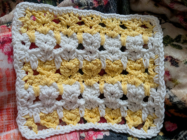 Cat Stitch Potholder