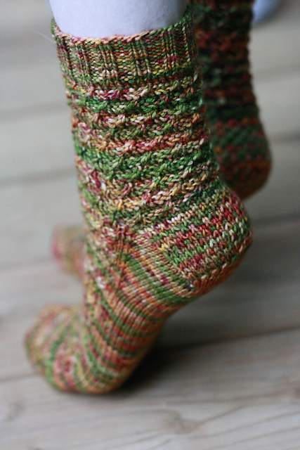 Grizzly Bear Socks