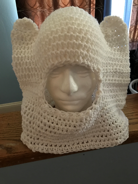 Finn the Human Inspired Hood