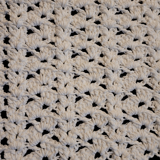 Dishcloth #31