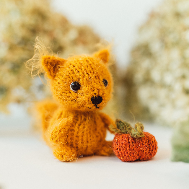 Tiny Squirrel