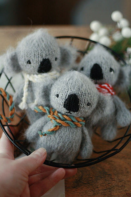Koala