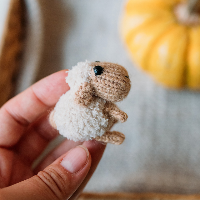 Tiny sheep