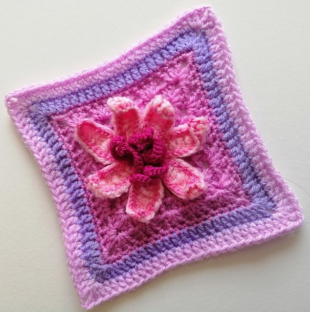 Pink Clematis
