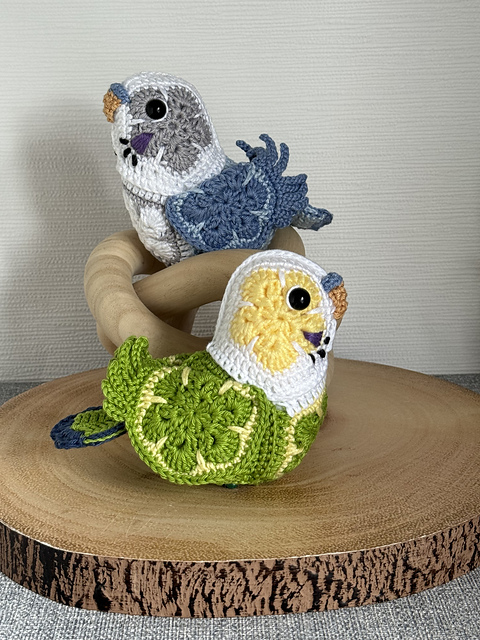 Pair of Budgies