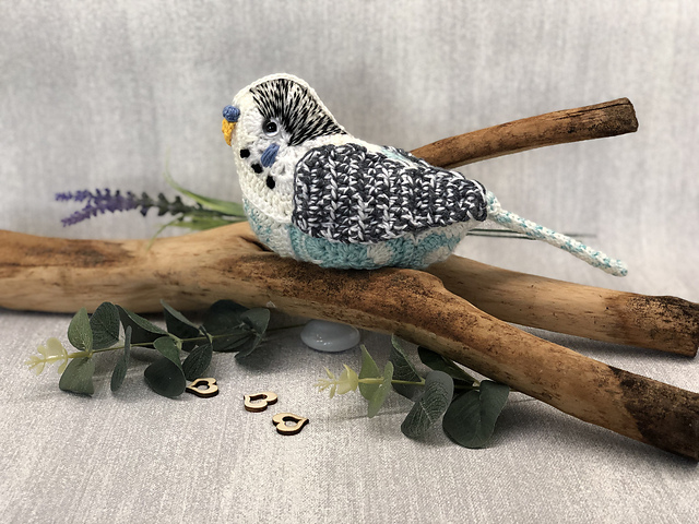 African Flower Budgie/Parakeet
