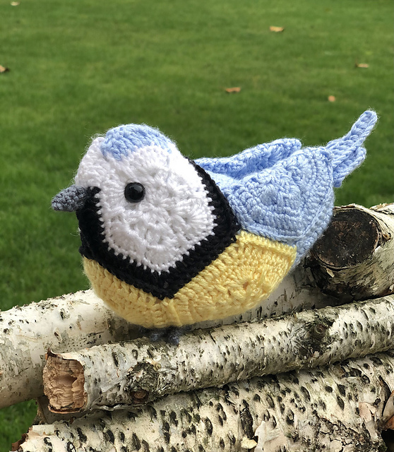 African Flower Blue Tit