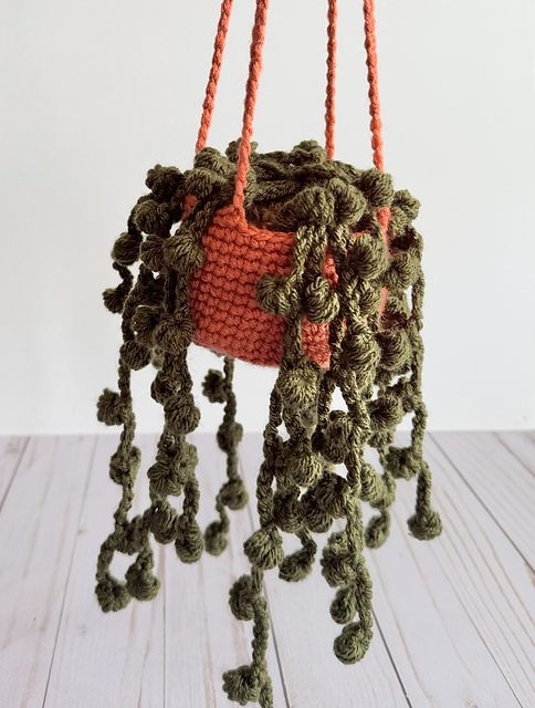 String of Pearls Hanging Plant