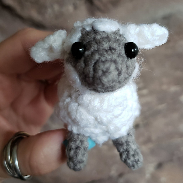 Lovely Lamb