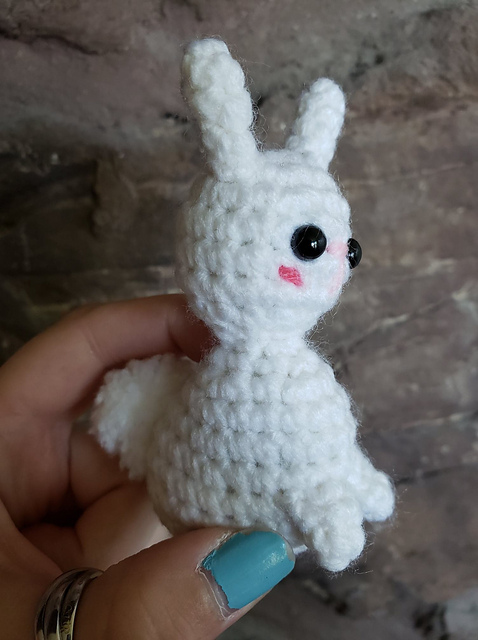 Beautiful Baby Bunny