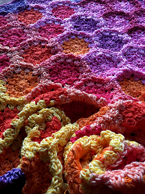 Cozy Flowers