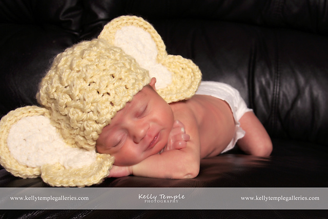 Elephant Hat