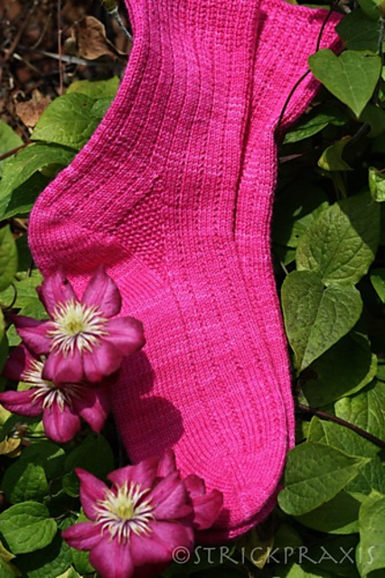Clematis